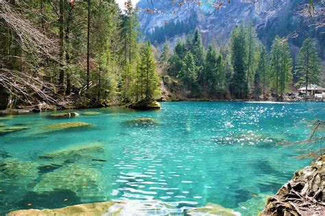 “Blausee” 